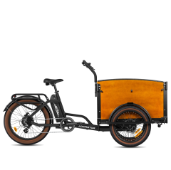 E-325 Reverse Trike